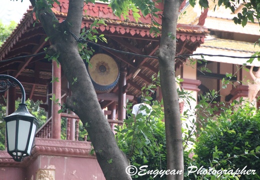 Wat Phnom (11)