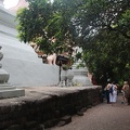 Wat Phnom (78).jpg