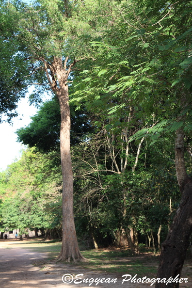 Banteay Kdei (5841).jpg