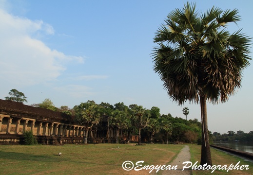 Angkor Wat (4898)