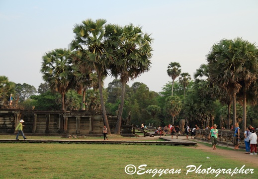 Angkor Wat (4952)