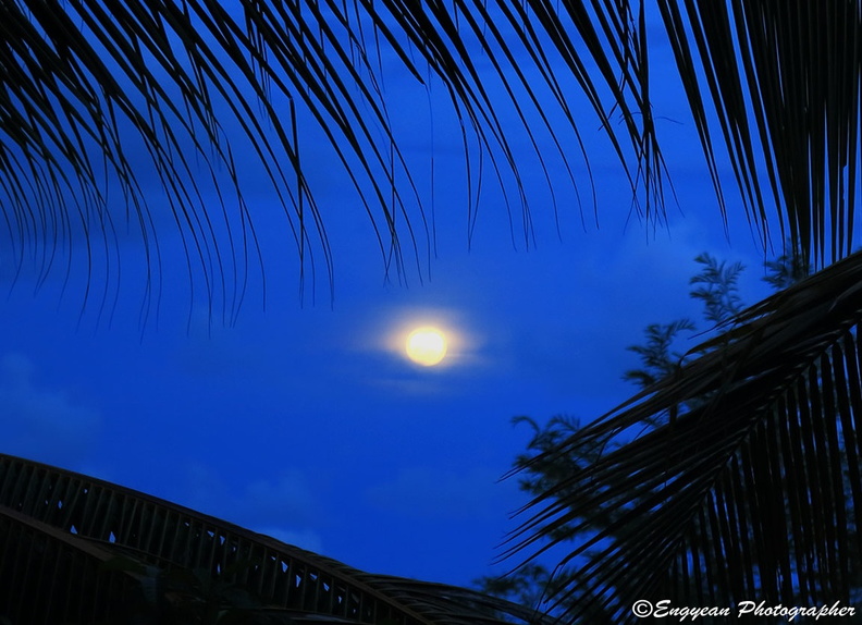 Full Moon At Koh Rong (6488).jpg